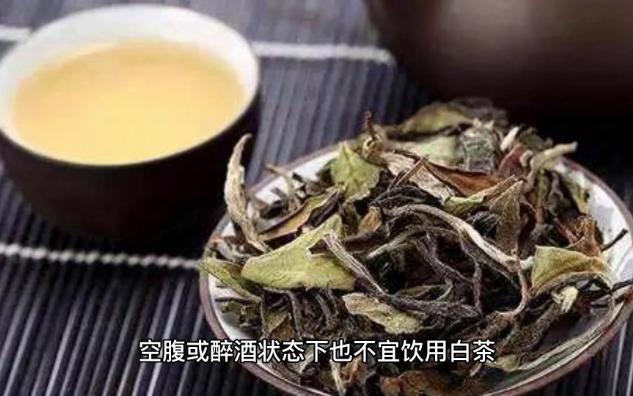 「茶文化」白茶爱好者必看:这些禁忌你了解吗?哔哩哔哩bilibili