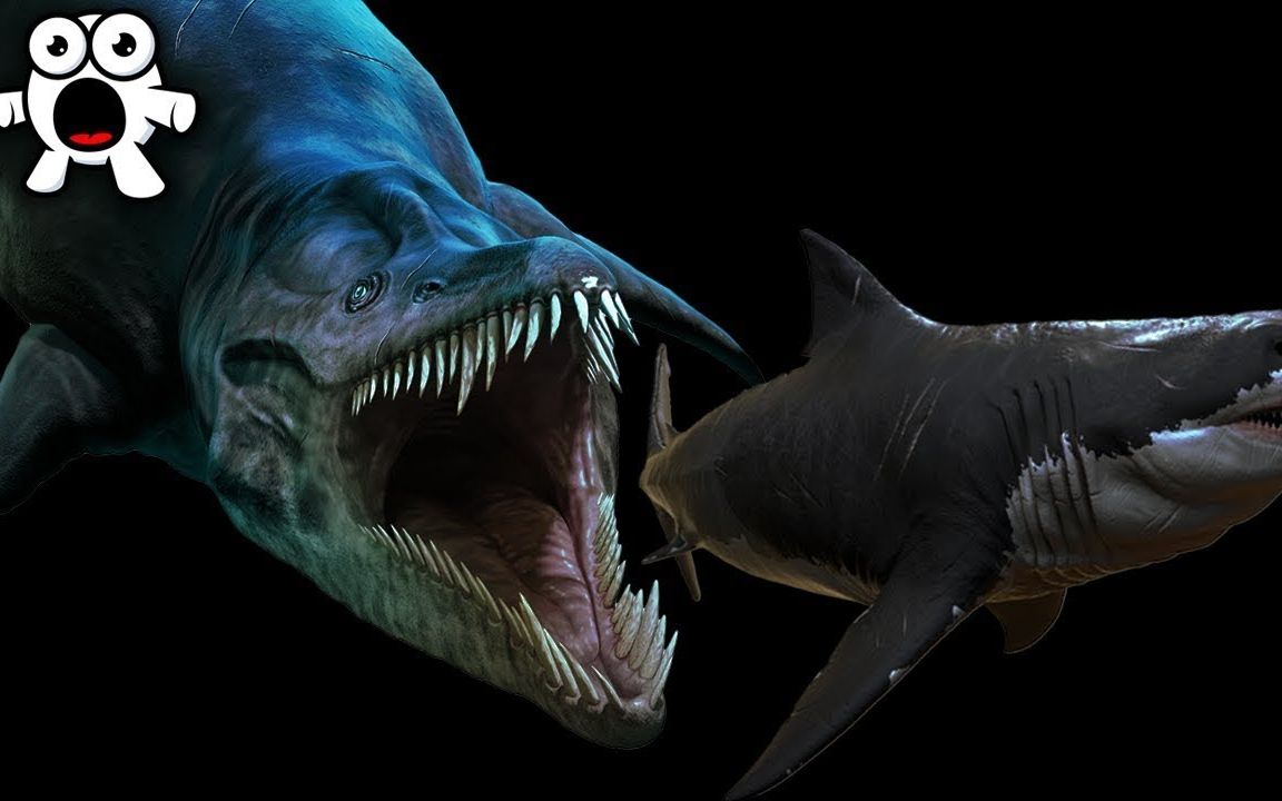 生活在马里亚纳海沟比巨齿鲨更可怕的生物