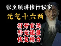 Descargar video: 【修行】张至顺道长教你元气十六两的秘密，开玄关、通八脉、筑基炼己，提升自我