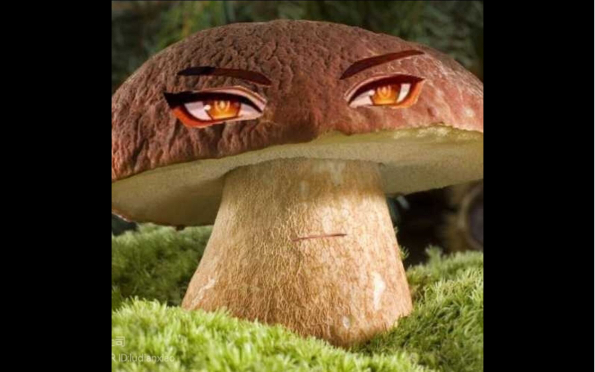 这就是岩王帝菌嘛