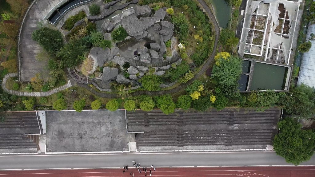 航拍十一月的西南大学