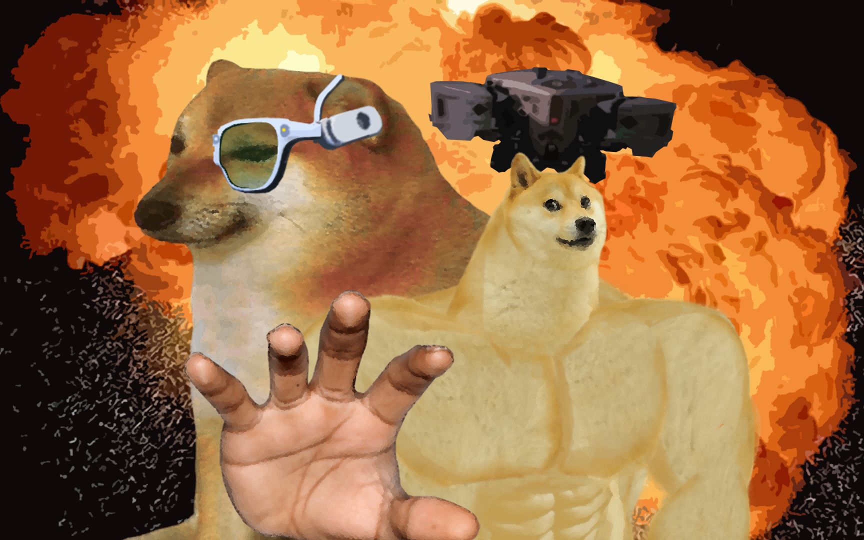 cheems 大 战 老 爸(二)!