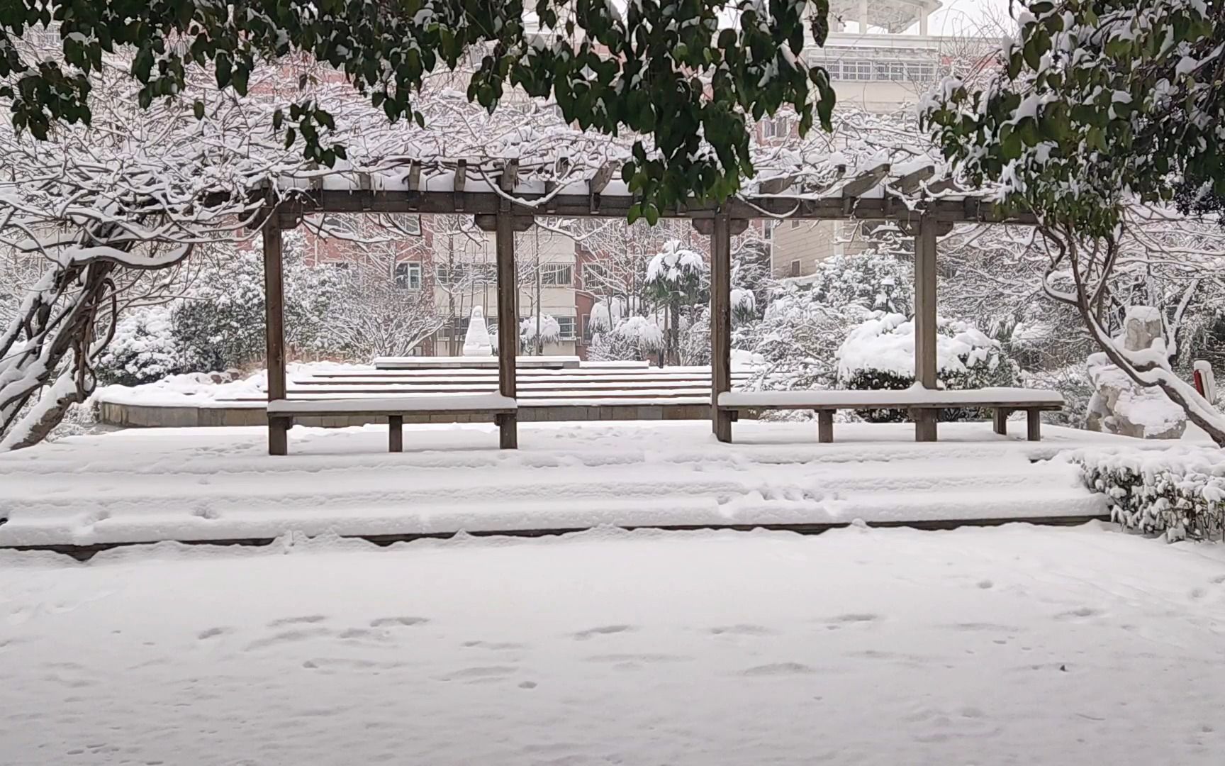 记录2022年下雪天的郑州外国语学校
