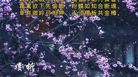 古詩詞 #宋詞 #梅妻鶴子 #《山園小梅》