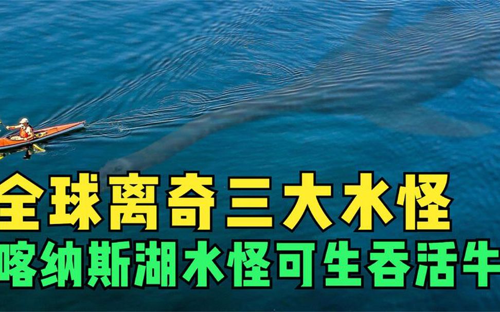 [图]全球离奇的3大水怪传说，新疆喀纳斯湖水怪可生吞活牛！