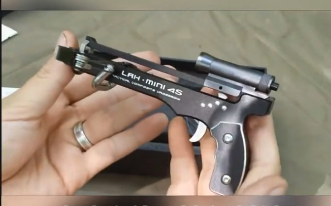 国外拍摄迷你猎黑