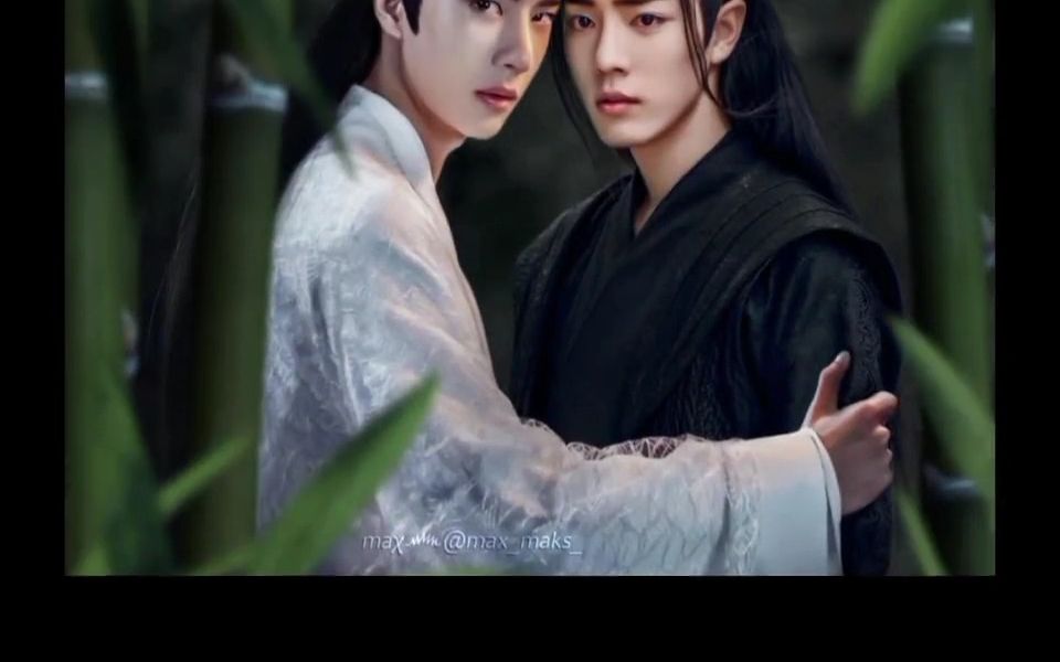 忘羡 肖战王一博 (1)