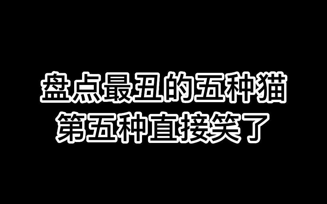 盘点最丑的五种猫 最后一种直接笑了~哔哩哔哩bilibili