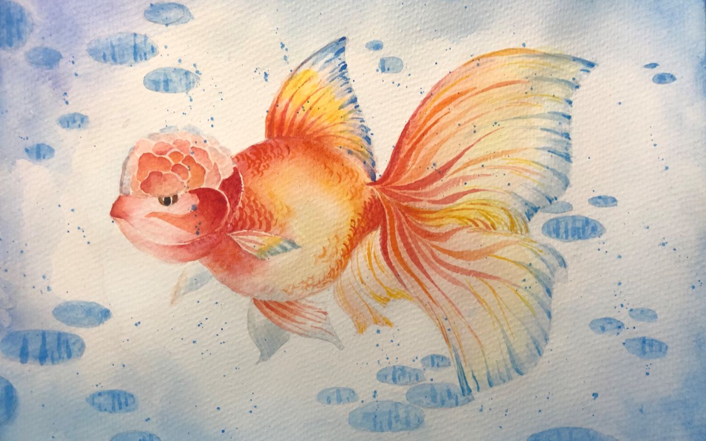 水彩小白临摹金鱼,记录一下