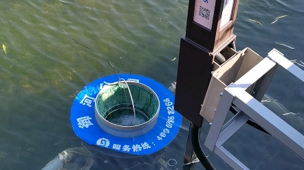 河道垃圾自动收集器