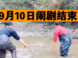 已经彻底结束！官方调查完毕！金凤村事件迎来大结局，李维刚不追究村民对他造成的损失！