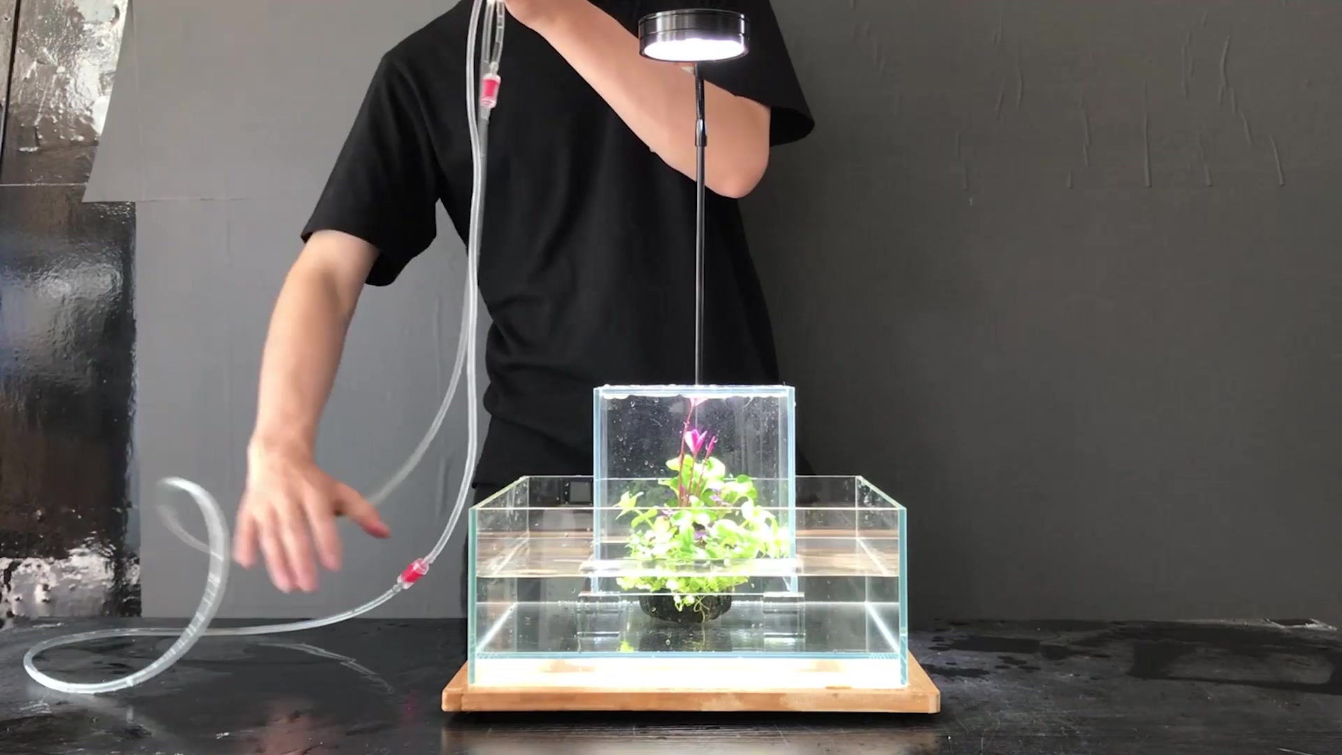 草叔教你如何在家制作负压鱼缸