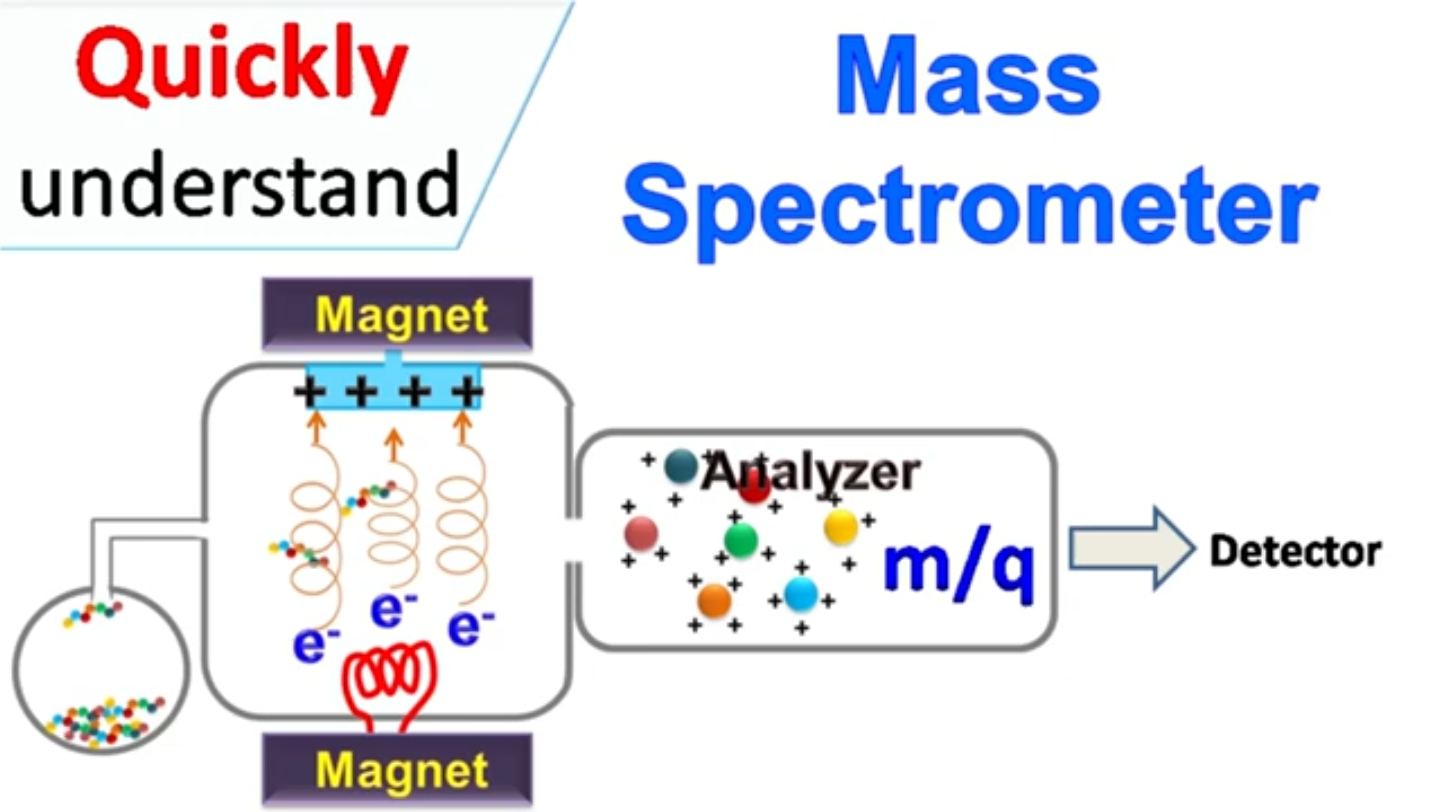 一节课快速理解质谱仪,类型及其运行原理哔哩哔哩bilibili