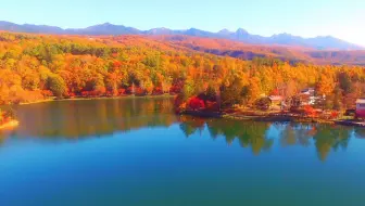 4k Autumn Lake Shirakaba Aerial Cruise 蓼科山白桦湖秋红叶 哔哩哔哩 Bilibili