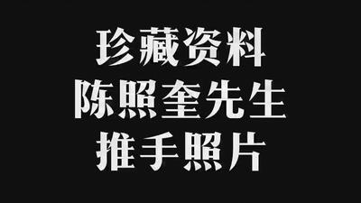 陈照奎先生推手照片