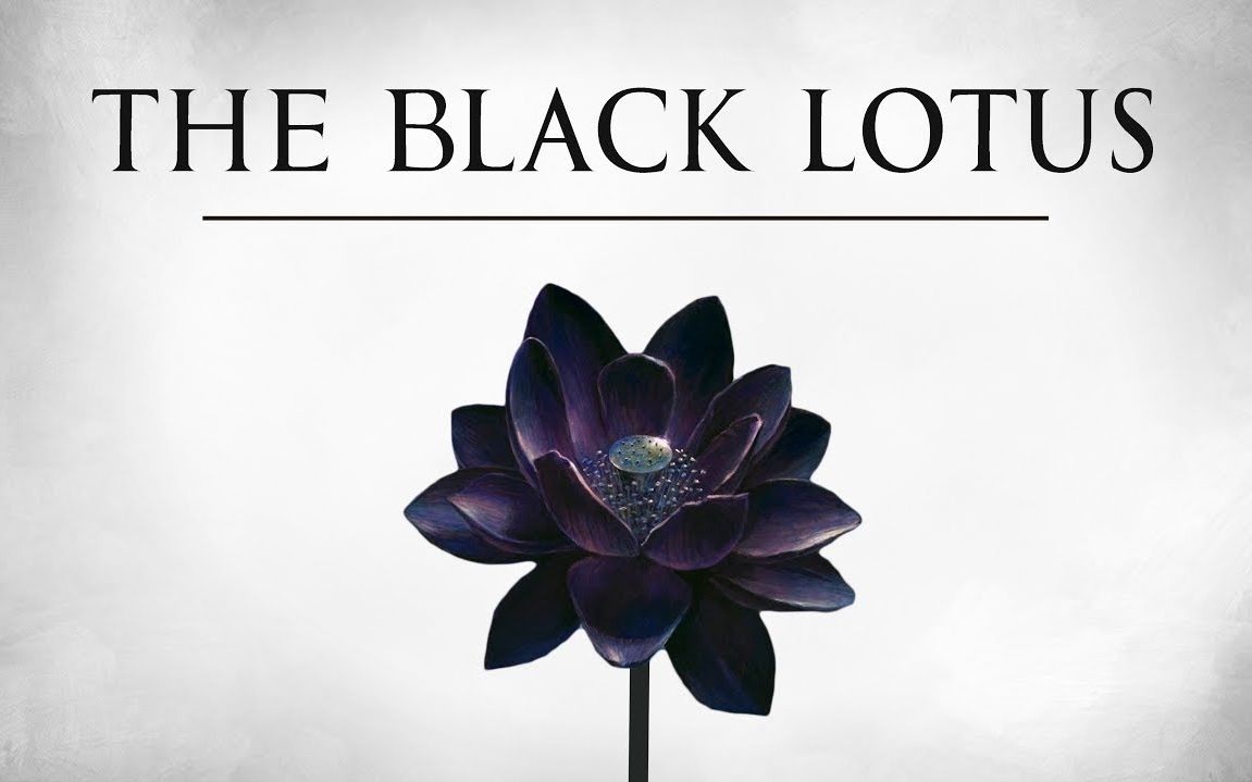 搬运红豆万智mtg纪录片黑莲花theblacklotus