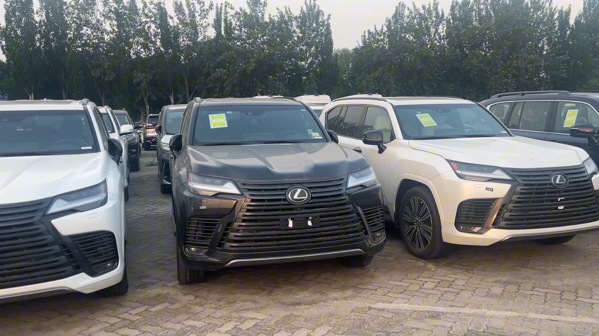 24款雷克萨斯lc600