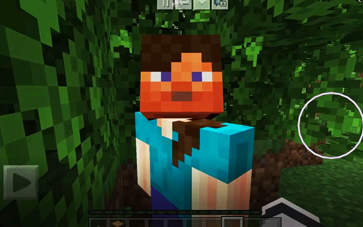 【我的世界】女装史蒂夫_哔哩哔哩 (゜-゜)つロ 干杯~-bilibili