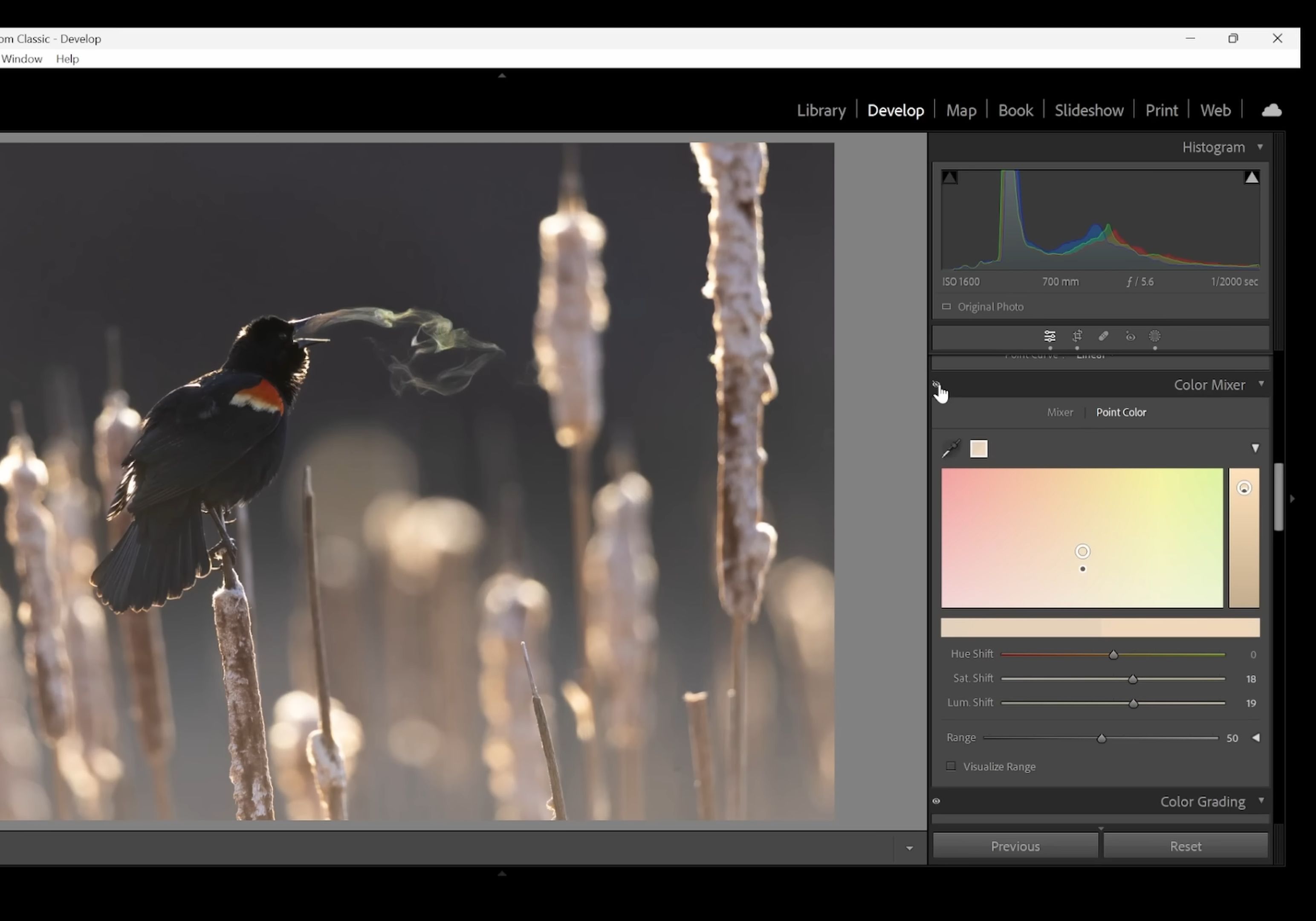 【simon dentremont】lr后期全流程 10