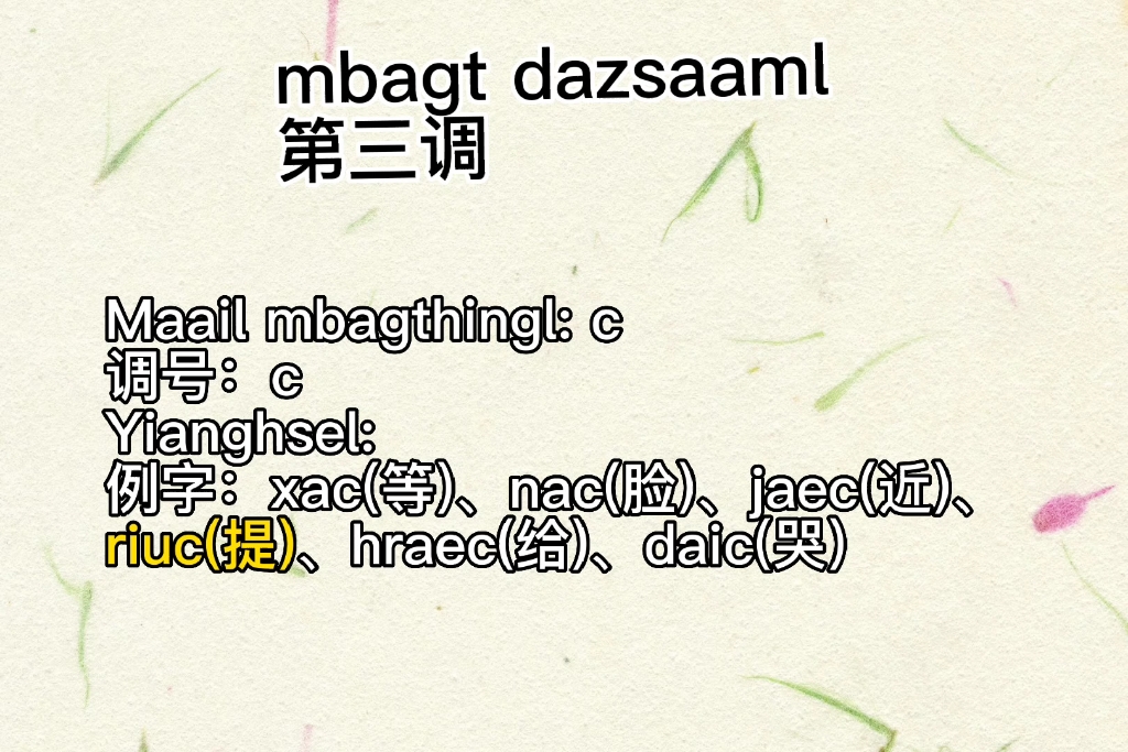 布依文教学(镇宁音)第二课:元音韵母和声调哔哩哔哩bilibili