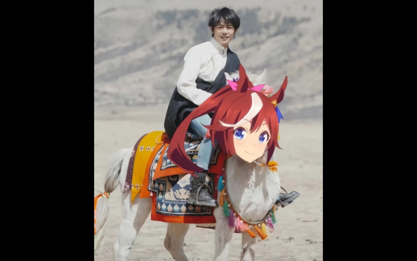 丁真和(我家)小马