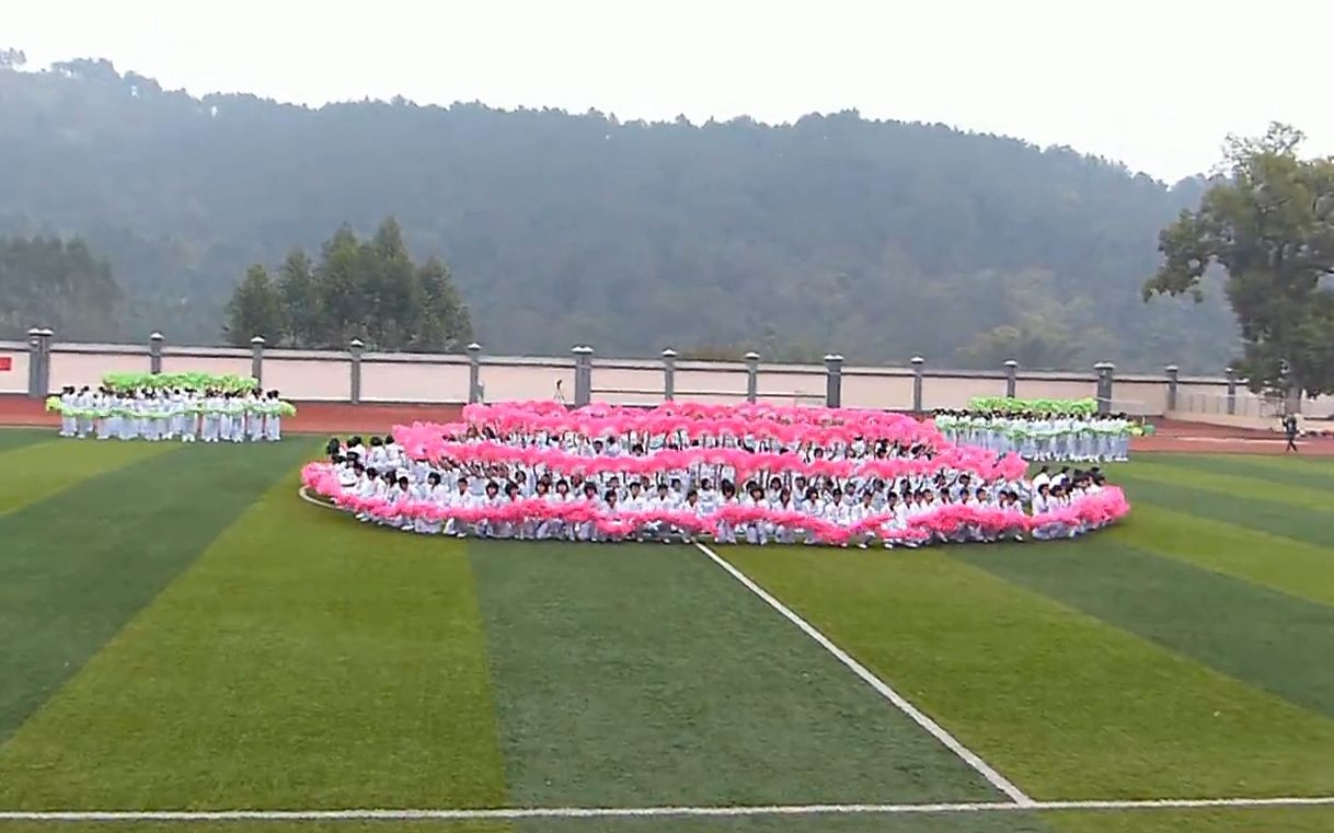 荔浦县民族中学舞蹈《我家在中国》  荔浦县2014年中小学生田径运动会开幕式哔哩哔哩bilibili