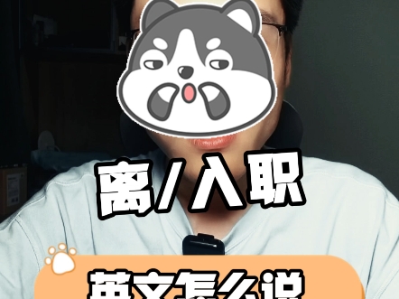 离入职英文怎么说?哔哩哔哩bilibili