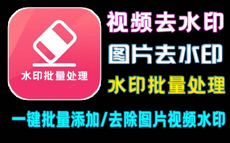 批量图片、视频去除水印/添加水印 ,短视频无水印提取,最强水印处理软件!哔哩哔哩bilibili