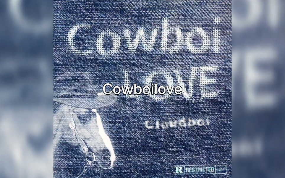 Cowboilove  Cloudboi/网上邻居Official [Lyric Video]哔哩哔哩bilibili