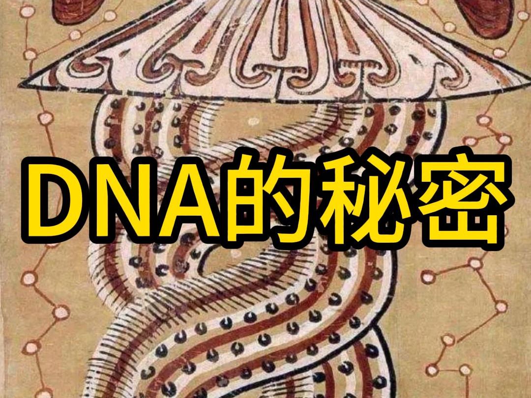 原来DNA的秘密早就藏在一千多年前的画里哔哩哔哩bilibili