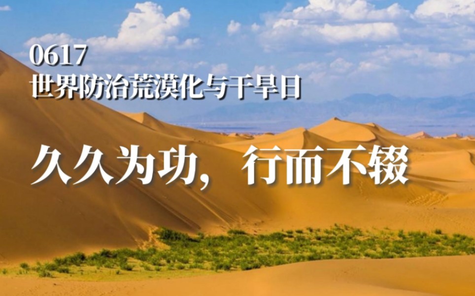 世界防治荒漠化和干旱日丨久久为功,行而不辍