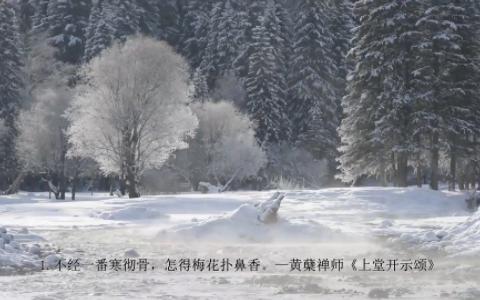 经典写雪的诗句哔哩哔哩bilibili