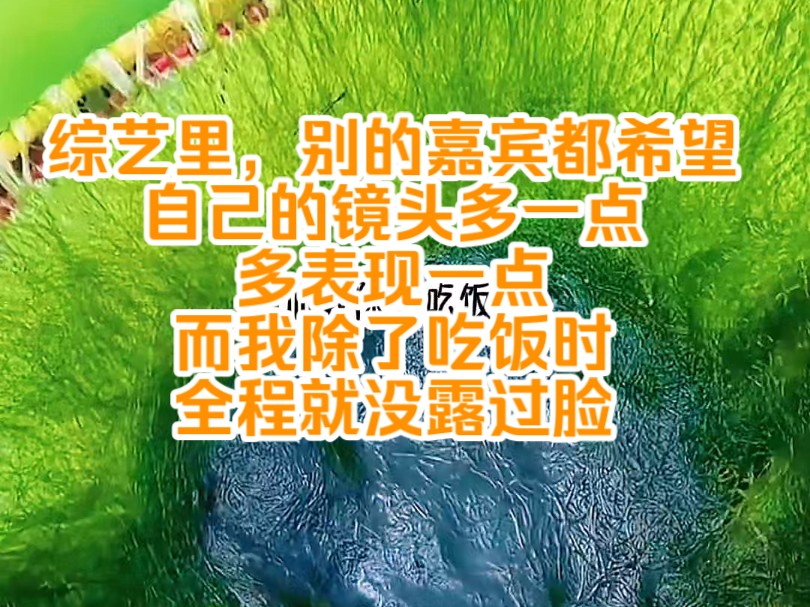 [图]《陌上摆烂 2》综艺里，别的嘉宾都希望自己的镜头多一点，多表现一点。而我除了吃饭时，全程就没露过脸