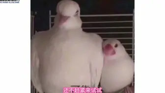 【手机号码支付】成年人社交最重要的事……