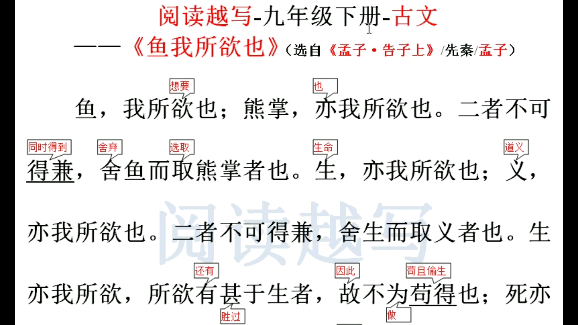 九年级下册文言文阅读:《鱼我所欲也》,论鱼与熊掌不可兼得哔哩哔哩bilibili