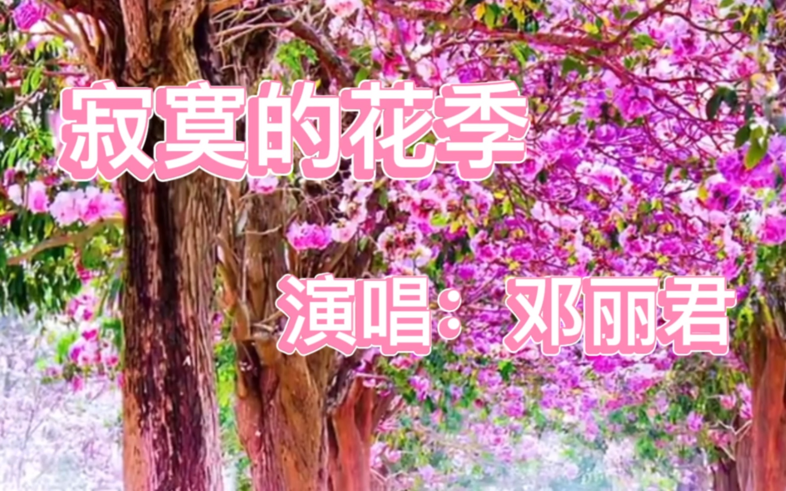 [图]邓丽君 《寂寞的花季》，听到歌声，又让我想起你