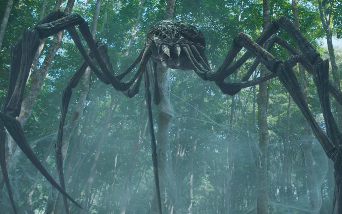 巨鳄岛蜘蛛图片