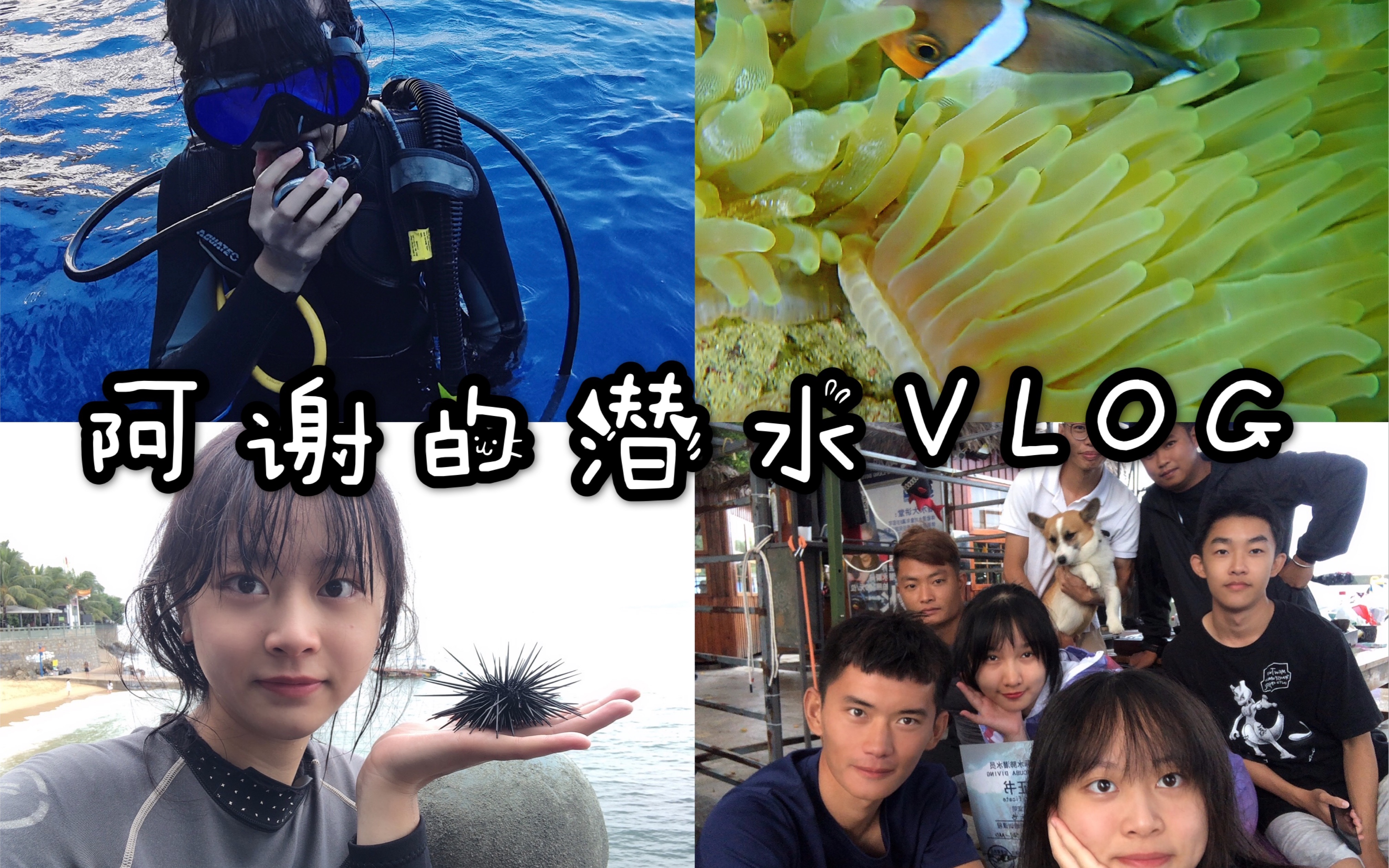 阿谢的Vlog |潜水日记哔哩哔哩bilibili