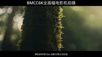 Tải video: 几百块古董镜头独有的魅力，BMCC6K全画幅电影机，氛围感拉满！