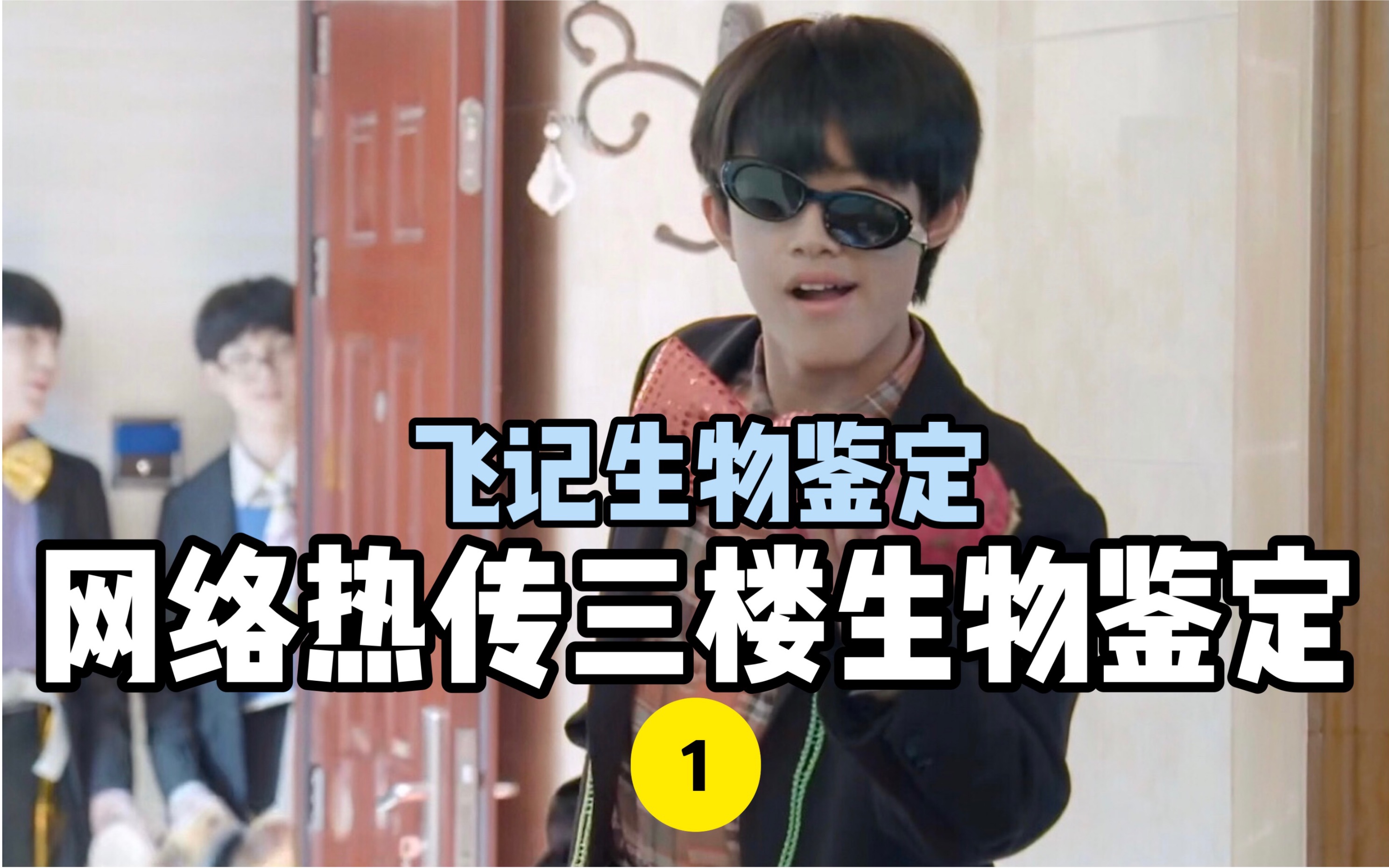 【TF家族三代】鉴定一下网络热门三楼生物 1.0哔哩哔哩bilibili