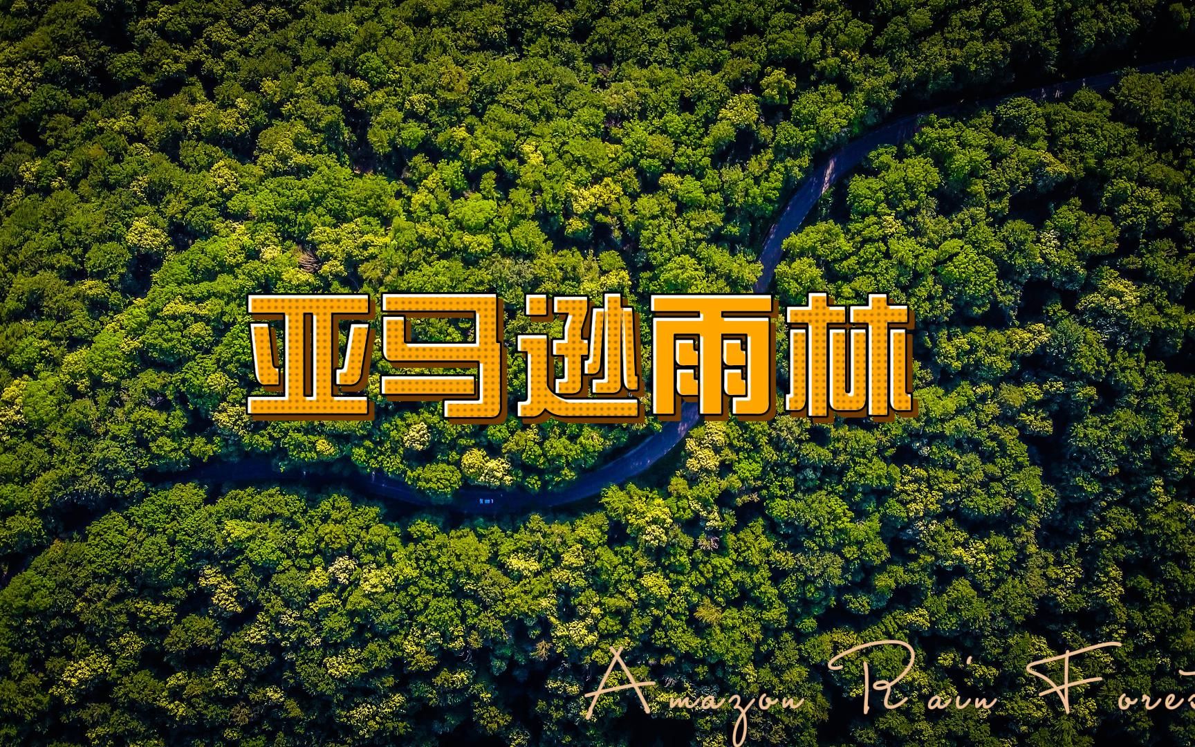 全世界最美的地方(10)——亚马逊雨林