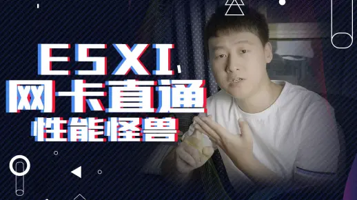 如何正确的把ESXI的网卡直通，让网卡性能发挥至最大化