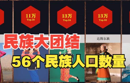 56个民族人口数量排行哔哩哔哩bilibili