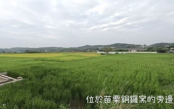 [图]最治愈的庙，龙猫土地公庙｜台湾真奇庙EP6