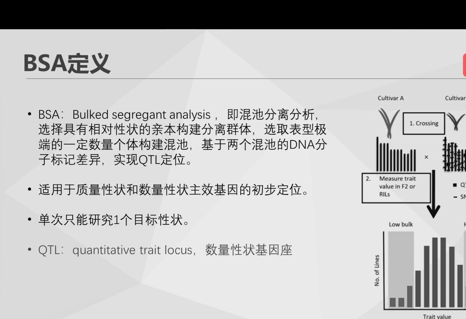 BSA性状定位分析(第一节:背景知识概要)哔哩哔哩bilibili