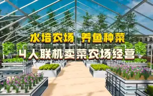 Download Video: 沉浸式卖菜又添新成员 上面种菜，下面养鱼，空间完全不浪费【Hydroponics Farm & Store Simulator】