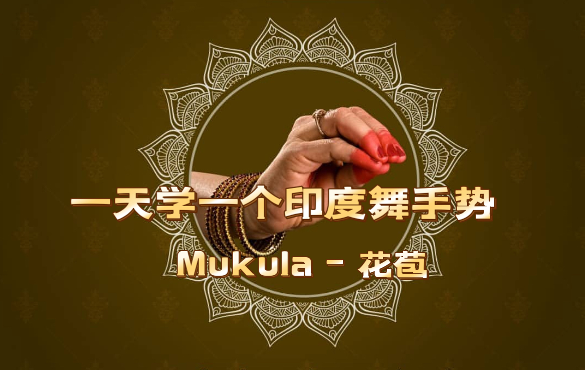 一天学一个印度舞手势-25.mukula 花苞