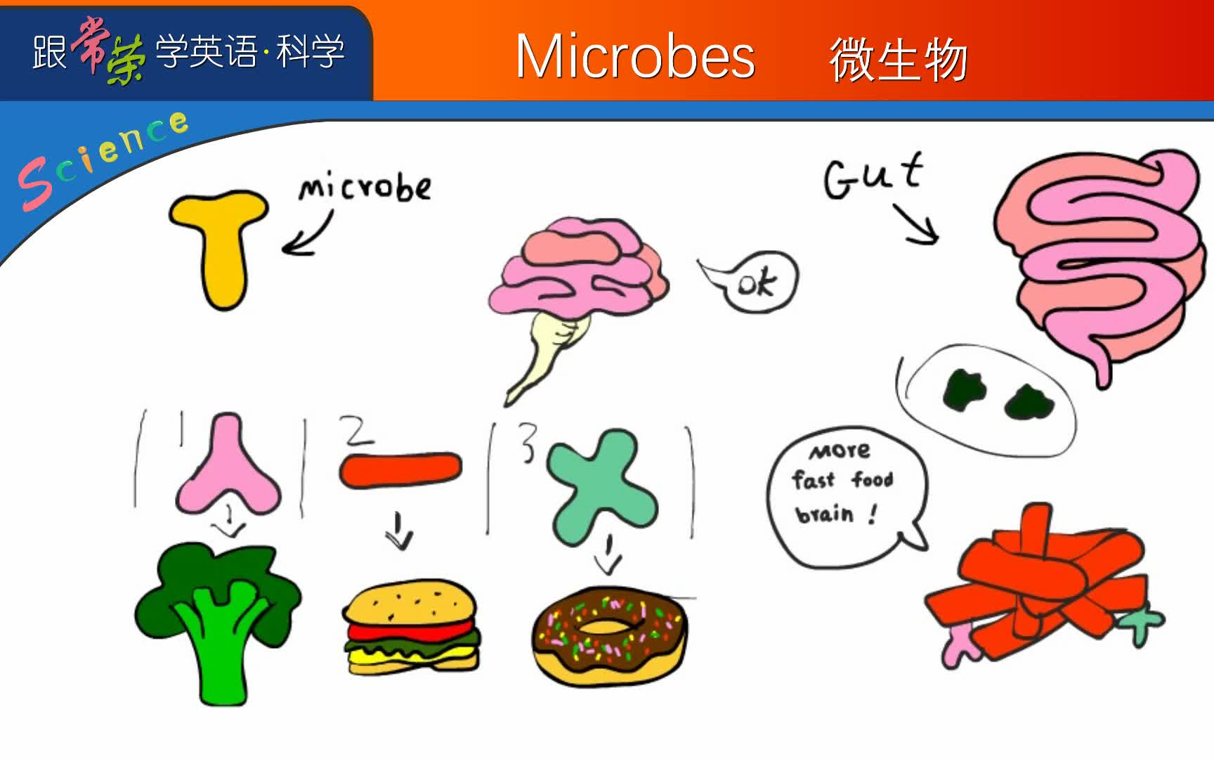 1 微生物Microbes 跟常荣学英语科学Science哔哩哔哩bilibili