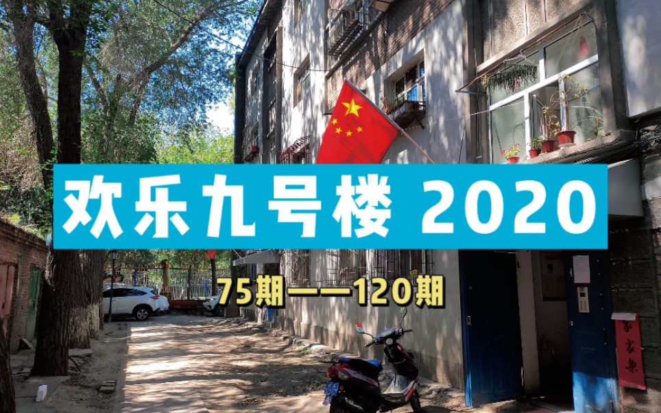 欢乐九号楼 2020哔哩哔哩bilibili