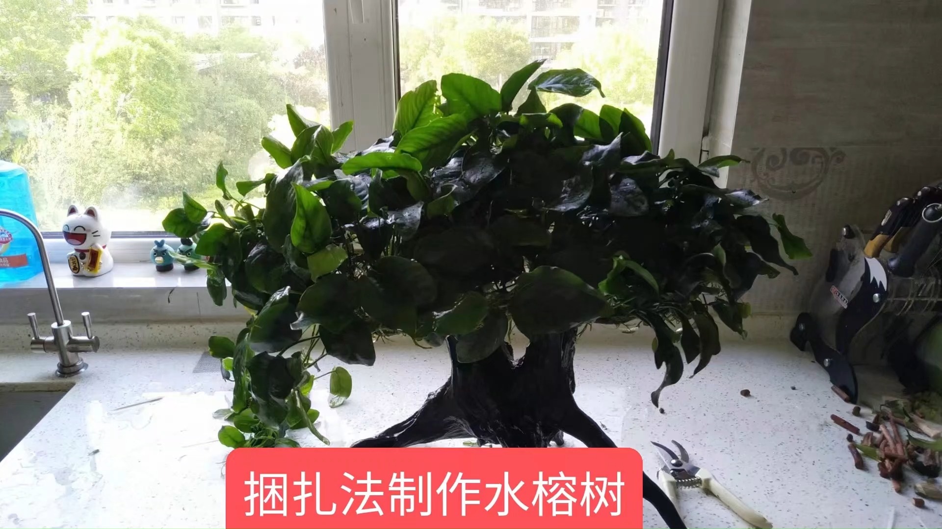 水榕造景莫斯树制作